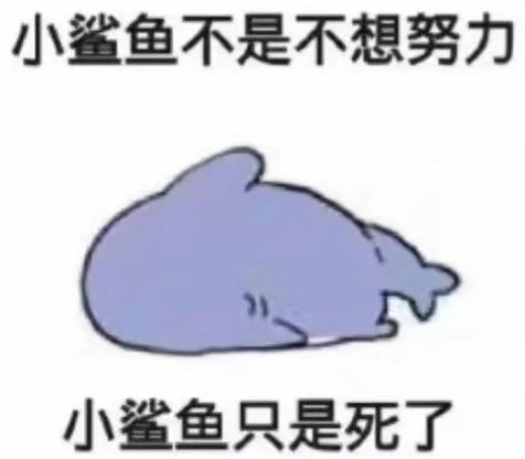 上课